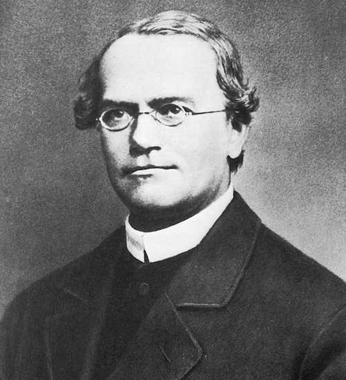 Gregor Mendel