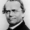 Gregor Mendel