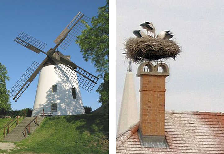 Un mulino a vento a Podersdorf - Un nido di cicogne a Mörbisch