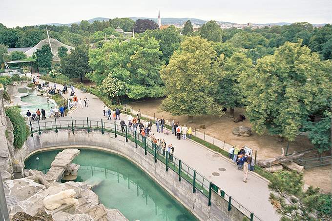 Nello zoo di Schnbrunn